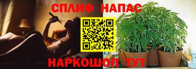 ешки Можга