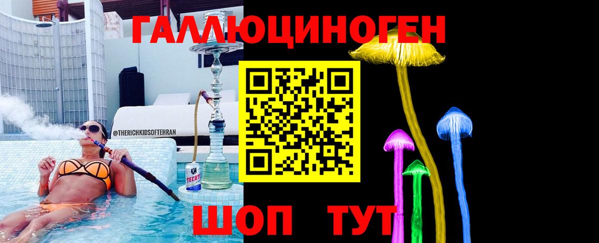 Псилоцибиновые грибы Cubensis Будённовск